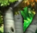 upload_2017-1-4_23-14-31.png