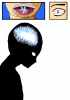 Coll4b part.png
