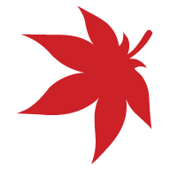 admin's avatar