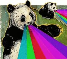 Spiritual-Panda's avatar