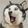 AllTheGoodNamesWereTaken's avatar