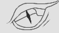 TheGeckoGamer's avatar