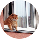 wendy's avatar