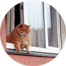 wendy's avatar