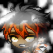 Jezr's avatar
