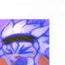 LI-Wind's avatar
