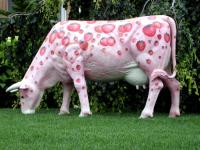 Partycow's avatar