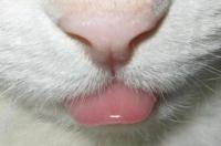 Aimee's avatar