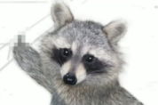 UgotSticks's avatar