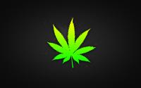 Weed's avatar