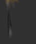 King's avatar