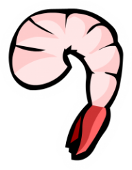 TheShrimpBox's avatar