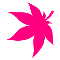 Developer's avatar